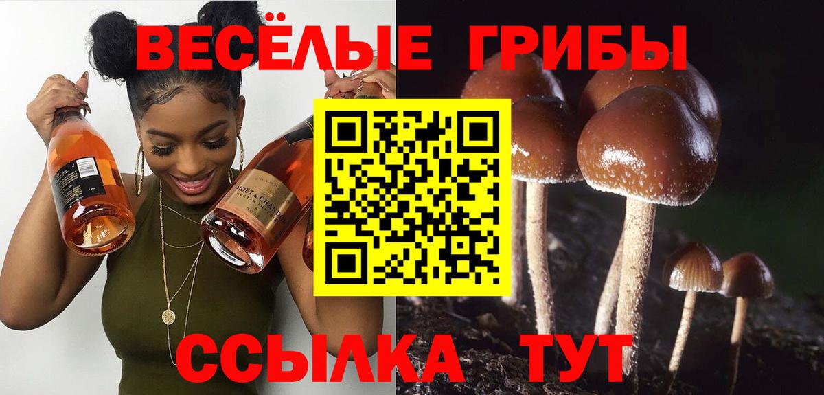 Галлюциногенные грибы GOLDEN TEACHER Москва